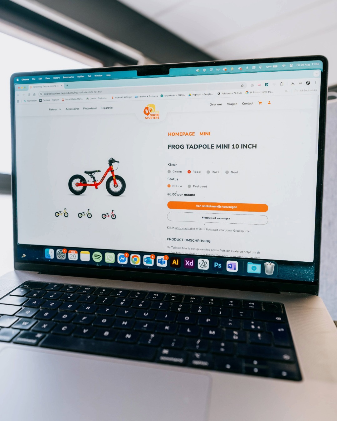 Van concept tot webshop
